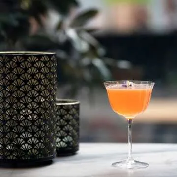 Elegant Luigi Bormioli Bach Cocktail Glasses - Set of 4