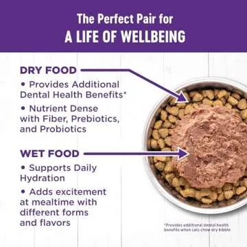Wellness Complete Health Pate Adult Wet Cat Food, Natural, Protein-Rich, Grain Free, 12.5 Ounce, 12 Pack, (Turkey)