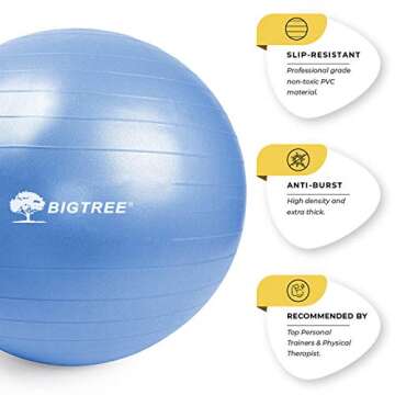 BIGTREE (2020 Upgrade Yoga Ball Exercise Fitness Core Stability Balance Strength Anti-Burst Heavy Duty Prenatal Birthing Yogaball Blue 25.5” (65cm)