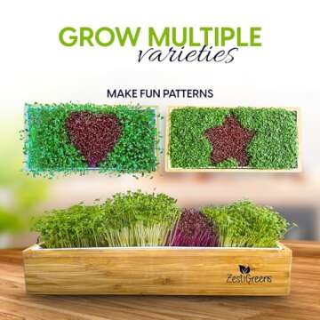 Self-Watering Microgreens Growing Kit – Easiest Way to Grow Fresh Microgreens at Home. Includes Reusable Tray, Organic Seeds, Grow Mats & Stylish Bamboo Frame – No Soil, No Mess (Salad & Broccoli)