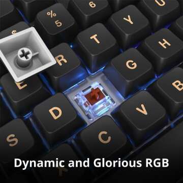 Montech MKey TKL Mechanical Gaming Keyboard: Customizable RGB LED, Premium MDA Profile PBT Keycap, Hot-Swappable Gateron G Brown Pro 2.0 Pre-lubed Switches, Osaka Castle Theme, Darkness (MK87DB)