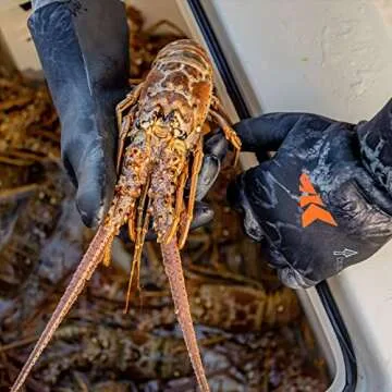 KastKing Waterproof IceRiver Gloves for Winter Fishing