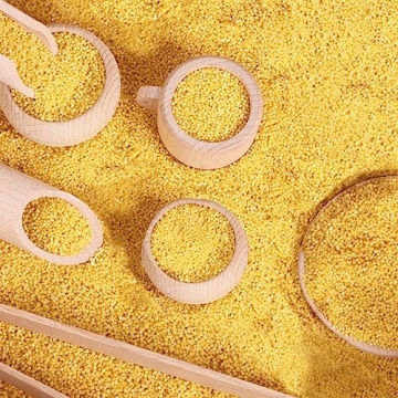 Montessori 10 Pcs Wooden Sensory Bin Tools for Kids