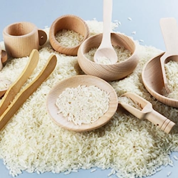 Montessori 10 Pcs Wooden Sensory Bin Tools for Kids