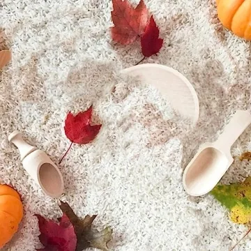 Montessori 10 Pcs Wooden Sensory Bin Tools for Kids