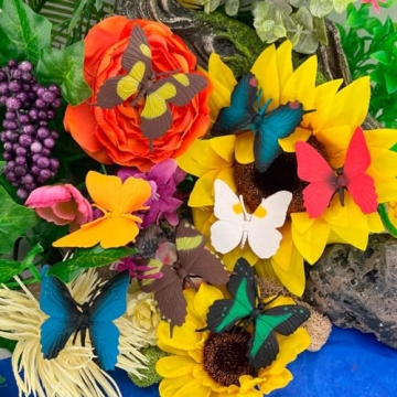 Diverse Butterfly Collection Toob - Educational Butterfly Figurines