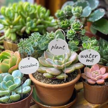 Temlum Plant Labels with Marker Pen, 25 Pcs Plant Garden Markers Garden Label Stakes Plant Sign Tags for Outdoor Plants, Flowers, Herbs, Seed (White)