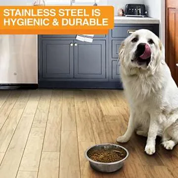 Neater Pet Brands Stainless Steel Bowls for Dogs and Cats