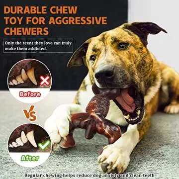 Durable MOXIKIA Dog Chew Toys for Aggressive Chewers