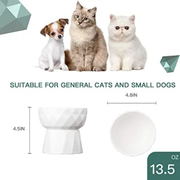 Frewinky Elevated Cat Bowls for Healthy Eating