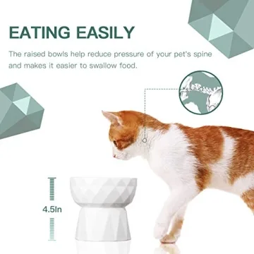 Frewinky Elevated Cat Bowls for Healthy Eating