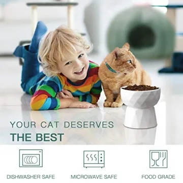 Frewinky Elevated Cat Bowls for Healthy Eating