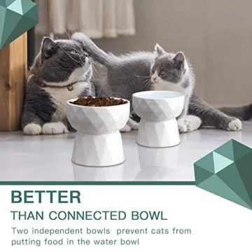 Frewinky Elevated Cat Bowls for Healthy Eating