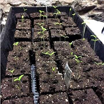 Bootstrap Farmer Mesh Bottom 1020 Trays - 10 Pack Extra Strength Microgreens Soil Blocks Hyroponics