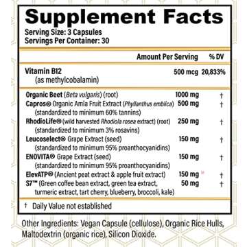 CHOQ Action 2.0 | Natural All-Day Energy | 90 Vegan Capsules | Rhodiola rosea