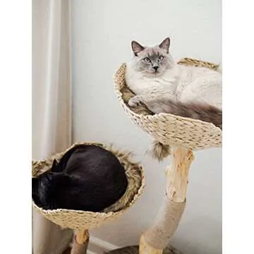 MAU Cat Tree Tower for Large Cats, Real Wood Luxury