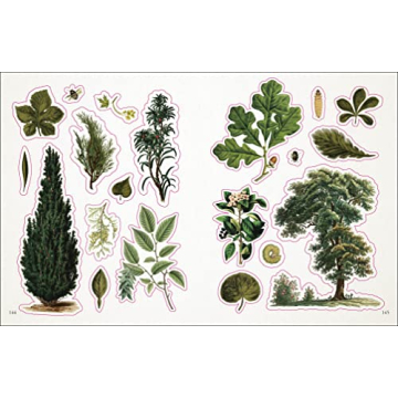 Botanist's Sticker Anthology Nature Lover's Dream Collection
