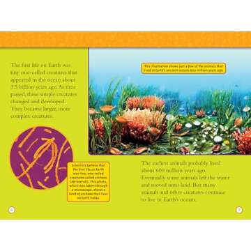 Water National Geographic Kids Level 3 Reader - Fun Learning