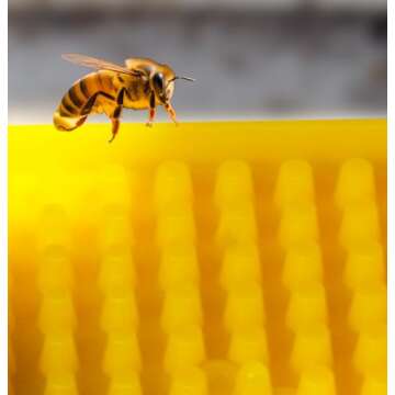 SunVara Bee Feeder for Beekeeping Bee Watering Station Bee Feeders Bee Drinking for Hives Honey bee Feeders Beehive Feeder Bucket Beekeeper Tools 2 Pack