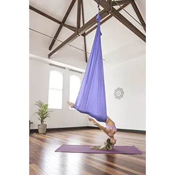 PINC Active Aerial Yoga Swing Kit for All Ages
