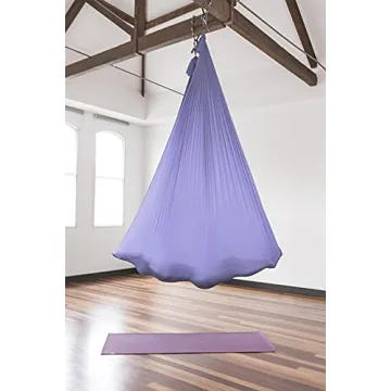 PINC Active Aerial Yoga Swing Kit for All Ages