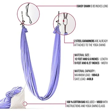 PINC Active Aerial Yoga Swing Kit for All Ages