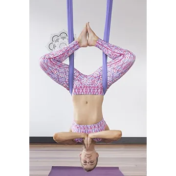 PINC Active Aerial Yoga Swing Kit for All Ages
