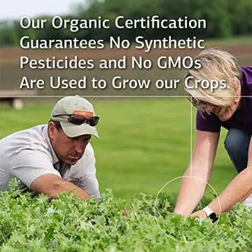 Standard Process Inc. Magnesium Lactate - Supplement for Cell Energy, Muscle & Bone Support - Heart & Nervous System Support - Bioavailable & Absorbable Form of Magnesium - 90 Capsules