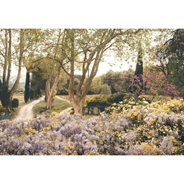 Capture Life with An American in Provence by Jamie Beck