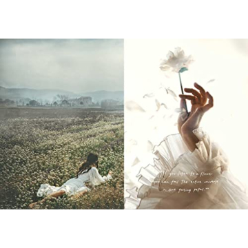 Capture Life with An American in Provence by Jamie Beck