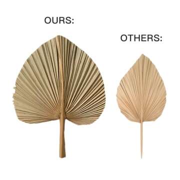 Boho Dried Palm Leaves for Weddings & Home Decor