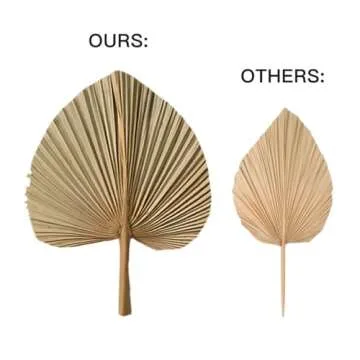 Boho Dried Palm Leaves for Weddings & Home Decor