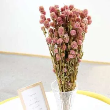 MIHUAGE Dried Flower White Globe Amaranth Bundles - Natural Beauty for Home Decor