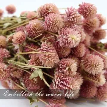 MIHUAGE Natural Globe Amaranth Dried Flower Bundles