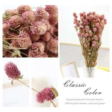 MIHUAGE Natural Globe Amaranth Dried Flower Bundles