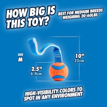 Chuckit Ultra Tug Dog Toy for Active Medium Dogs