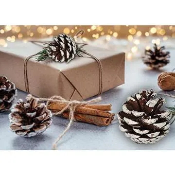 24 PCS Pine Cones for Christmas Tree Snowflake Natural Pinecones Ornament with String Pendant Crafts for Xmas Party Home Decor Fall Winter Holiday Christmas Tree Decoration (24)