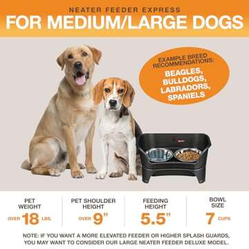 Neater Feeder Express Mess Proof Dog Bowls Elevated for Large and Medium Sized Dog, No Spill Raised Dog Food Bowl Stand, Stainless Steel Dog Food and Water Bowl Set, Elevated Dog Bowl, USA Made, Black