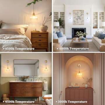 Shenmoyl Vintage Wall Sconce Elegant Indoor Lighting