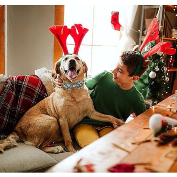 Lionat Paws Christmas Dog Collar - Cute Winter Design for Medium Dogs