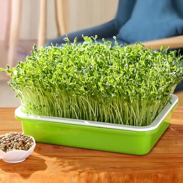 LeJoy Garden Seed Sprouter Tray Easy BPA Free Healthy Grower