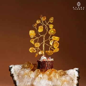 Chakra Healing Crystals Set - Chakra Tree Gifts