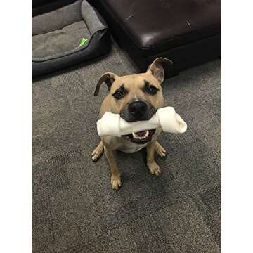 Dog Rawhide Bones Bulk Pack of 3 Natural Rawhide Protein Treats Knot Bone Chews Medium