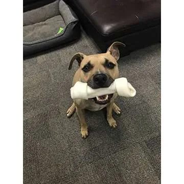 Dog Rawhide Bones Bulk Pack of 3 Natural Rawhide Protein Treats Knot Bone Chews Medium