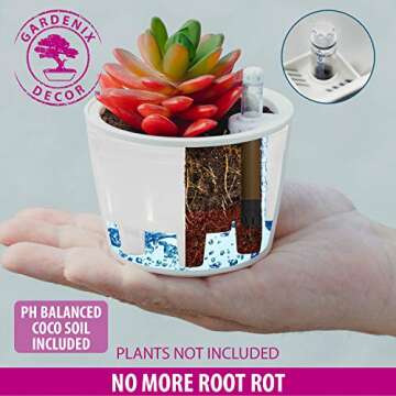 GARDENIX DECOR Self-Watering Plant Pots - 6 Pack