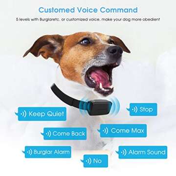 Dr.Trainer B1sPro Bark Collar APP&Watch Control, IP68 Waterproof Dog Training Collar with Smart Progressive Correction & Barking Report & Custom Sound, 0~99 Static Level Rechargeable Anti Bark Collar