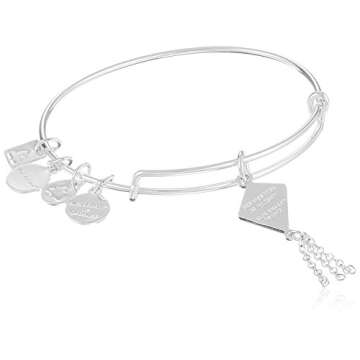 Alex and Ani Inspiration In Flight Shiny Silver/Blue Bangle Bracelet for Empowerment and Style