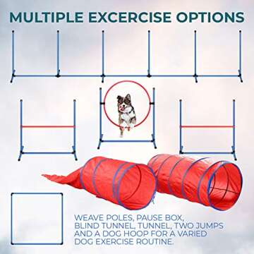 CHEERING PET Complete Deluxe Dog Agility Training Equipment Set, 2 Dog Jumps, Hurdle, Blind, 2 Standard Tunnels and 6 Weave Poles, Premium Dog Agility Exercise Set with Easy Fun Carry Case…