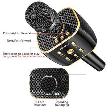 12W Wireless Karaoke Microphone for Parties and Kids