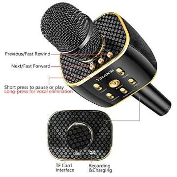 12W Wireless Karaoke Microphone for Parties and Kids